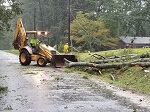 Storm damage fallen trees